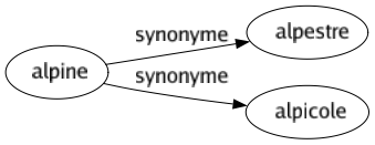 Synonyme de Alpine : Alpestre Alpicole 