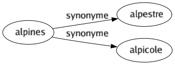 Synonyme de Alpines : Alpestre Alpicole 