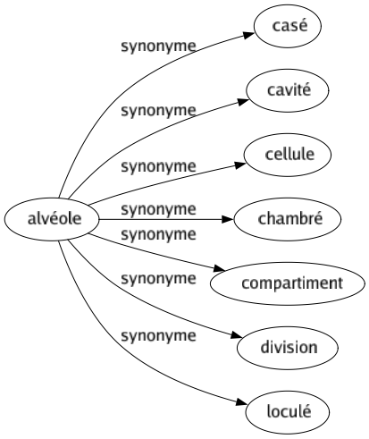 Synonyme de Alvéole : Casé Cavité Cellule Chambré Compartiment Division Loculé 