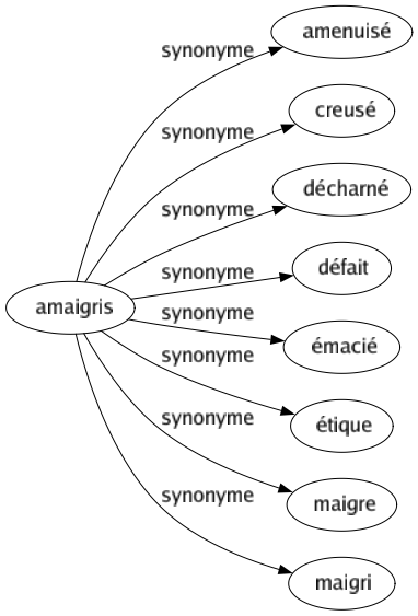 Synonyme de Amaigris : Amenuisé Creusé Décharné Défait Émacié Étique Maigre Maigri 