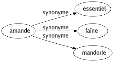 Synonyme de Amande : Essentiel Faîne Mandorle 