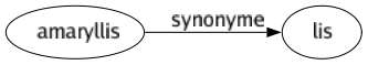 Synonyme de Amaryllis : Lis 