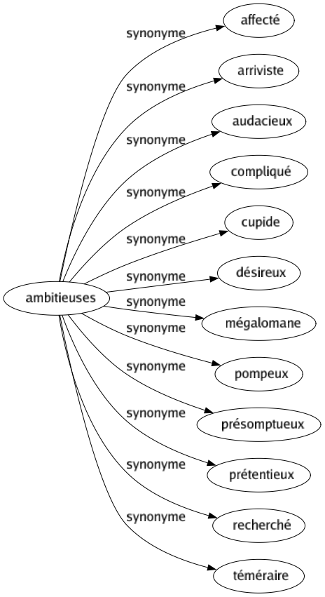 Synonyme de Ambitieuses : Affecté Arriviste Audacieux Compliqué Cupide Désireux Mégalomane Pompeux Présomptueux Prétentieux Recherché Téméraire 