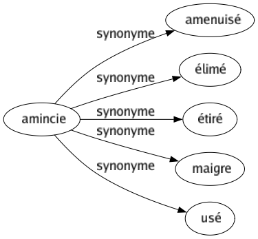 Synonyme de Amincie : Amenuisé Élimé Étiré Maigre Usé 