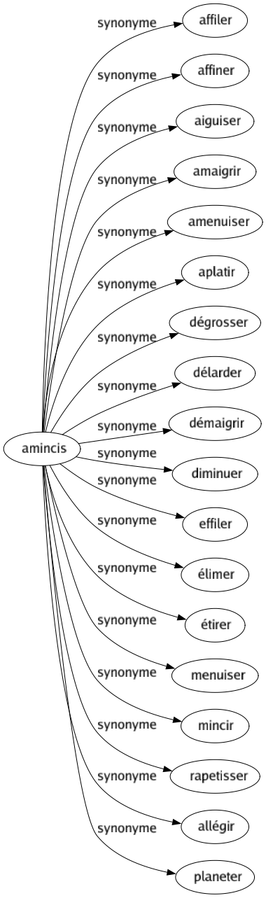 Synonyme de Amincis : Affiler Affiner Aiguiser Amaigrir Amenuiser Aplatir Dégrosser Délarder Démaigrir Diminuer Effiler Élimer Étirer Menuiser Mincir Rapetisser Allégir Planeter 