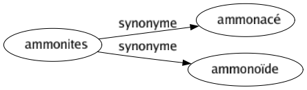 Synonyme de Ammonites : Ammonacé Ammonoïde 