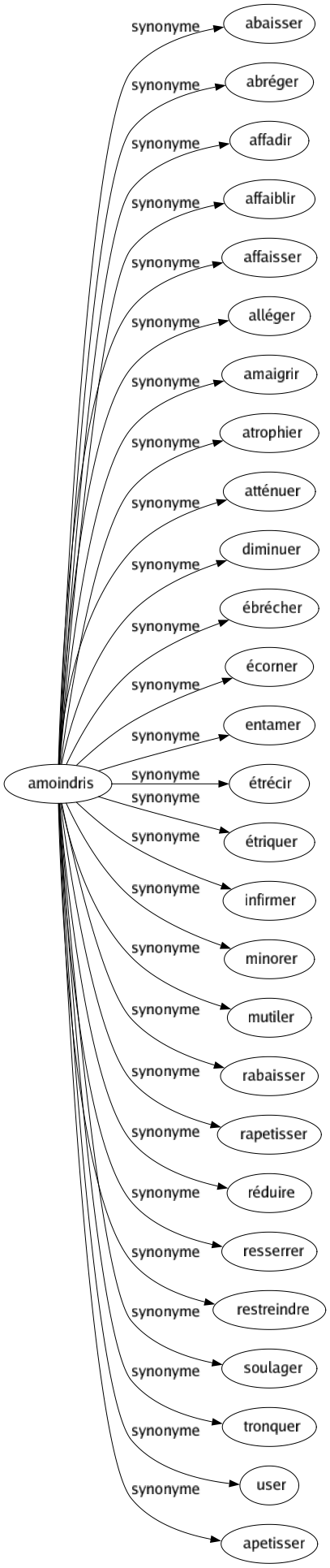 Synonyme de Amoindris : Abaisser Abréger Affadir Affaiblir Affaisser Alléger Amaigrir Atrophier Atténuer Diminuer Ébrécher Écorner Entamer Étrécir Étriquer Infirmer Minorer Mutiler Rabaisser Rapetisser Réduire Resserrer Restreindre Soulager Tronquer User Apetisser 