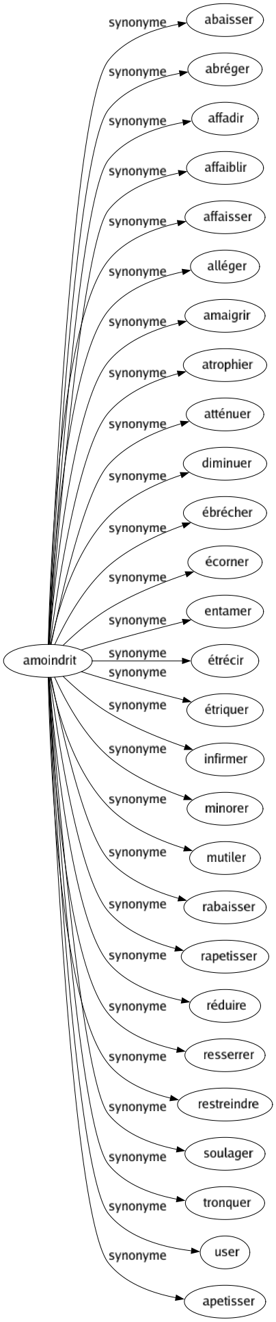 Synonyme de Amoindrit : Abaisser Abréger Affadir Affaiblir Affaisser Alléger Amaigrir Atrophier Atténuer Diminuer Ébrécher Écorner Entamer Étrécir Étriquer Infirmer Minorer Mutiler Rabaisser Rapetisser Réduire Resserrer Restreindre Soulager Tronquer User Apetisser 