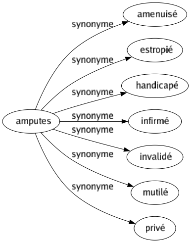 Synonyme de Amputes : Amenuisé Estropié Handicapé Infirmé Invalidé Mutilé Privé 