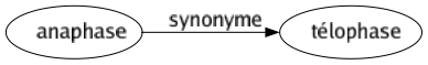 Synonyme de Anaphase : Télophase 