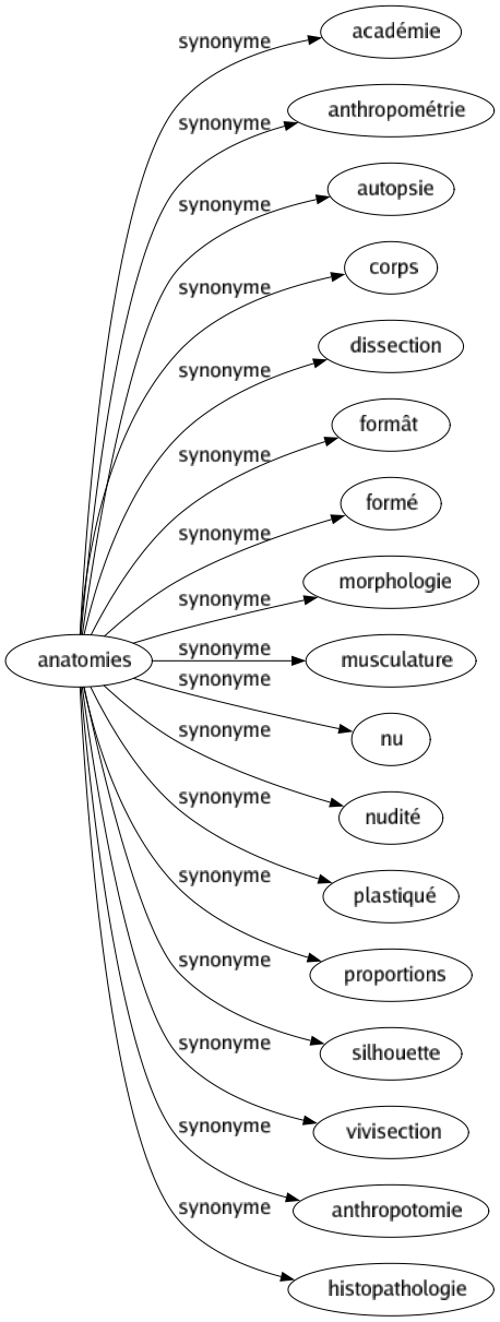 Synonyme de Anatomies : Académie Anthropométrie Autopsie Corps Dissection Formât Formé Morphologie Musculature Nu Nudité Plastiqué Proportions Silhouette Vivisection Anthropotomie Histopathologie 