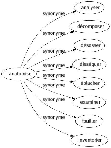 Synonyme de Anatomise : Analyser Décomposer Désosser Disséquer Éplucher Examiner Fouiller Inventorier 