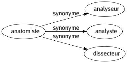 Synonyme de Anatomiste : Analyseur Analyste Dissecteur 