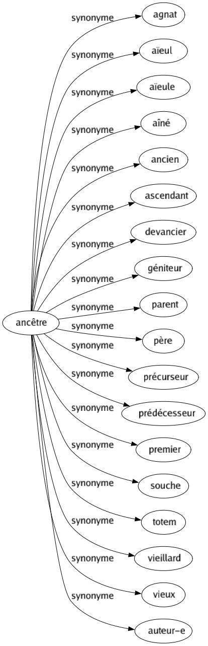 Synonyme de Ancêtre : Agnat Aïeul Aïeule Aîné Ancien Ascendant Devancier Géniteur Parent Père Précurseur Prédécesseur Premier Souche Totem Vieillard Vieux Auteur-e 