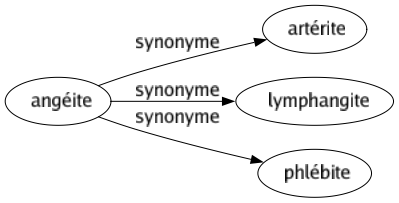 Synonyme de Angéite : Artérite Lymphangite Phlébite 