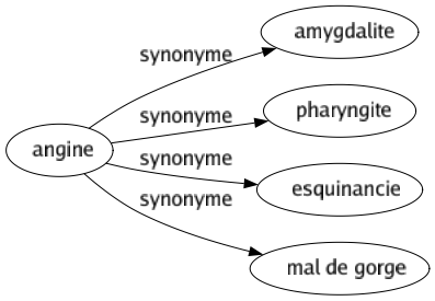 Synonyme de Angine : Amygdalite Pharyngite Esquinancie Mal de gorge 