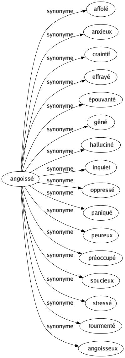 Synonyme de Angoissé : Affolé Anxieux Craintif Effrayé Épouvanté Gêné Halluciné Inquiet Oppressé Paniqué Peureux Préoccupé Soucieux Stressé Tourmenté Angoisseux 