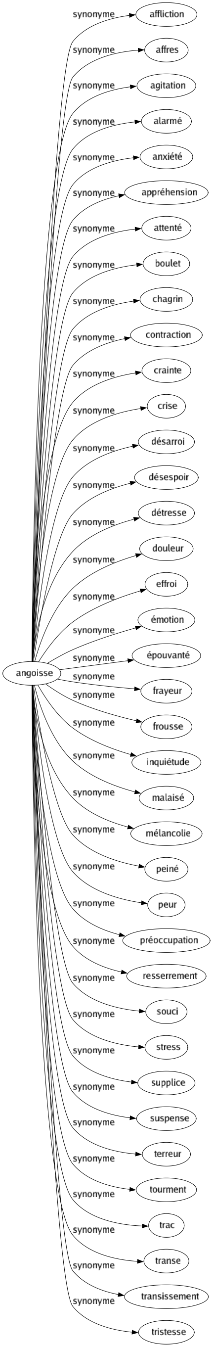 Synonyme de Angoisse : Affliction Affres Agitation Alarmé Anxiété Appréhension Attenté Boulet Chagrin Contraction Crainte Crise Désarroi Désespoir Détresse Douleur Effroi Émotion Épouvanté Frayeur Frousse Inquiétude Malaisé Mélancolie Peiné Peur Préoccupation Resserrement Souci Stress Supplice Suspense Terreur Tourment Trac Transe Transissement Tristesse 