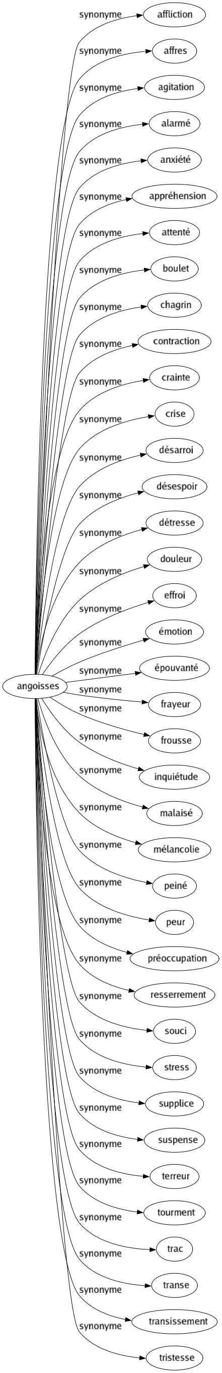 Synonyme de Angoisses : Affliction Affres Agitation Alarmé Anxiété Appréhension Attenté Boulet Chagrin Contraction Crainte Crise Désarroi Désespoir Détresse Douleur Effroi Émotion Épouvanté Frayeur Frousse Inquiétude Malaisé Mélancolie Peiné Peur Préoccupation Resserrement Souci Stress Supplice Suspense Terreur Tourment Trac Transe Transissement Tristesse 