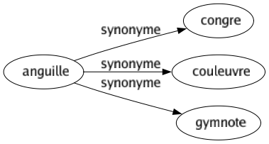 Synonyme de Anguille : Congre Couleuvre Gymnote 