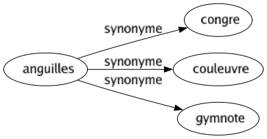 Synonyme de Anguilles : Congre Couleuvre Gymnote 