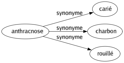 Synonyme de Anthracnose : Carié Charbon Rouillé 