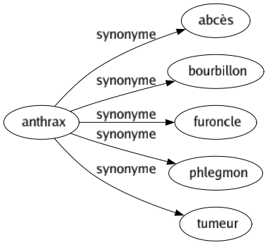 Synonyme de Anthrax : Abcès Bourbillon Furoncle Phlegmon Tumeur 