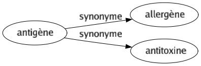 Synonyme de Antigène : Allergène Antitoxine 