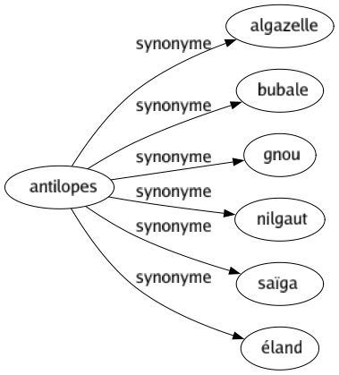 Synonyme de Antilopes : Algazelle Bubale Gnou Nilgaut Saïga Éland 