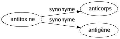 Synonyme de Antitoxine : Anticorps Antigène 