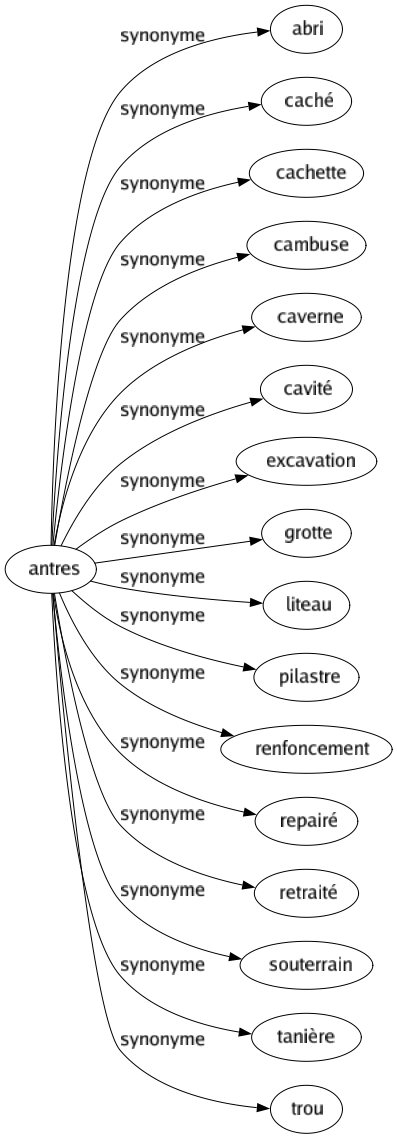 Synonyme de Antres : Abri Caché Cachette Cambuse Caverne Cavité Excavation Grotte Liteau Pilastre Renfoncement Repairé Retraité Souterrain Tanière Trou 