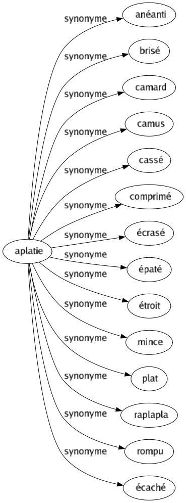 Synonyme de Aplatie : Anéanti Brisé Camard Camus Cassé Comprimé Écrasé Épaté Étroit Mince Plat Raplapla Rompu Écaché 