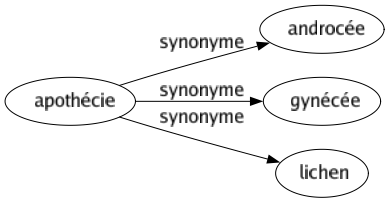 Synonyme de Apothécie : Androcée Gynécée Lichen 