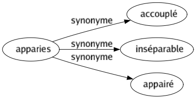 Synonyme de Apparies : Accouplé Inséparable Appairé 