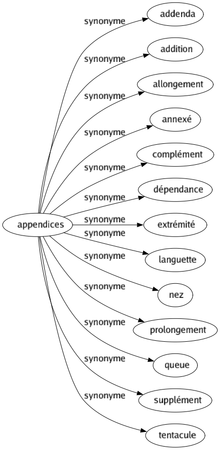 Synonyme de Appendices : Addenda Addition Allongement Annexé Complément Dépendance Extrémité Languette Nez Prolongement Queue Supplément Tentacule 