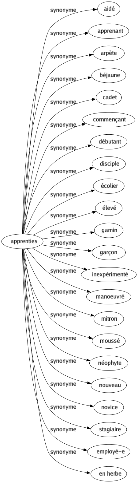 Synonyme de Apprenties : Aidé Apprenant Arpète Béjaune Cadet Commençant Débutant Disciple Écolier Élevé Gamin Garçon Inexpérimenté Manoeuvré Mitron Moussé Néophyte Nouveau Novice Stagiaire Employé-e En herbe 