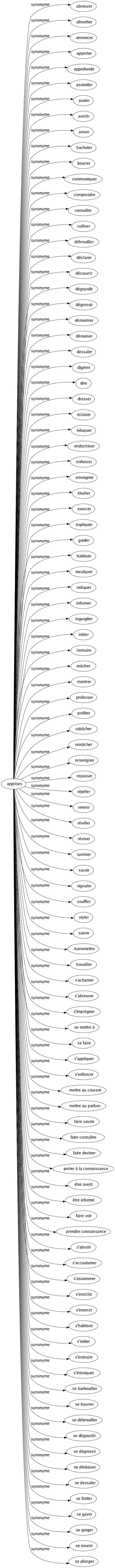 Synonyme de Apprises : Abreuver Absorber Annoncer Apporter Approfondir Assimiler Avaler Avertir Aviser Bachoter Bourrer Communiquer Comprendre Connaître Cultiver Débrouiller Déclarer Découvrir Dégourdir Dégrossir Démontrer Déniaiser Dessaler Digérer Dire Dresser Éclairer Éduquer Endoctriner Enfoncer Enseigner Étudier Exercer Expliquer Guider Habituer Inculquer Indiquer Informer Ingurgiter Initier Instruire Mâcher Montrer Professer Profiter Rabâcher Remâcher Renseigner Repasser Répéter Retenir Révéler Réviser Ruminer Savoir Signaler Souffler Styler Suivre Transmettre Travailler S'acharner S'abreuver S'imprégner Se mettre à Se faire S'appliquer S'enfoncer Mettre au courant Mettre au parfum Faire savoir Faire connaître Faire deviner Porter à la connaissance Être averti Être informé Faire voir Prendre connaissance S'abrutir S'accoutumer S'assommer S'enrichir S'exercer S'habituer S'initier S'instruire S'intoxiquer Se barbouiller Se bourrer Se débrouiller Se dégourdir Se dégrossir Se déniaiser Se dessaler Se frotter Se gaver Se gorger Se nourrir Se plonger 