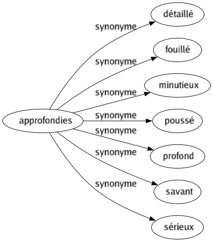 Synonyme de Approfondies : Détaillé Fouillé Minutieux Poussé Profond Savant Sérieux 