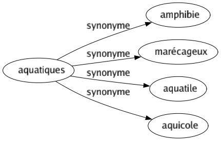 Synonyme de Aquatiques : Amphibie Marécageux Aquatile Aquicole 