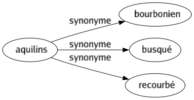 Synonyme de Aquilins : Bourbonien Busqué Recourbé 