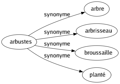 Synonyme de Arbustes : Arbre Arbrisseau Broussaille Planté 