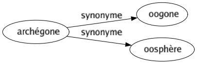 Synonyme de Archégone : Oogone Oosphère 