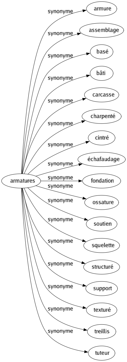 Synonyme de Armatures : Armure Assemblage Basé Bâti Carcasse Charpenté Cintré Échafaudage Fondation Ossature Soutien Squelette Structuré Support Texturé Treillis Tuteur 