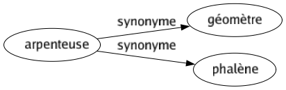 Synonyme de Arpenteuse : Géomètre Phalène 