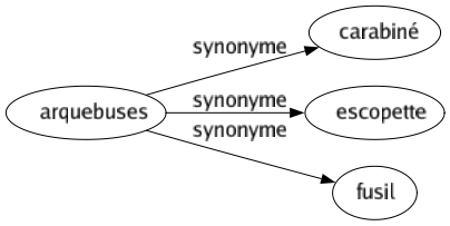 Synonyme de Arquebuses : Carabiné Escopette Fusil 
