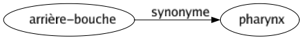 Synonyme de Arrière-bouche : Pharynx 