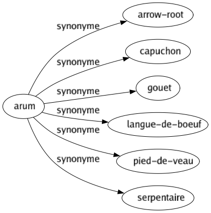 Synonyme de Arum : Arrow-root Capuchon Gouet Langue-de-boeuf Pied-de-veau Serpentaire 