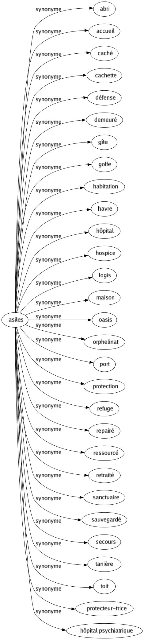 Synonyme de Asiles : Abri Accueil Caché Cachette Défense Demeuré Gîte Golfe Habitation Havre Hôpital Hospice Logis Maison Oasis Orphelinat Port Protection Refuge Repairé Ressourcé Retraité Sanctuaire Sauvegardé Secours Tanière Toit Protecteur-trice Hôpital psychiatrique 