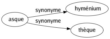 Synonyme de Asque : Hyménium Thèque 