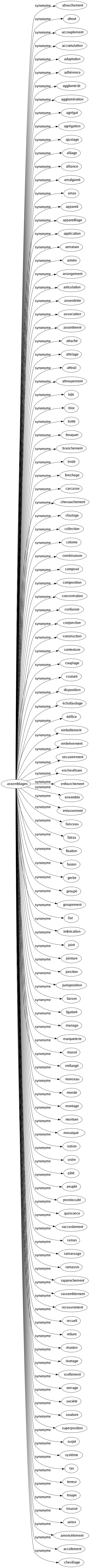 Synonyme de Assemblages : Abouchement About Accouplement Accumulation Adaptation Adhérence Agglomérât Agglomération Agrégat Agrégation Ajustage Alliage Alliance Amalgamé Amas Appareil Appareillage Application Armature Armée Arrangement Articulation Assemblée Association Assortiment Attaché Attelage Attirail Attroupement Bâti Bloc Botté Bouquet Branchement Bridé Brochage Carcasse Chevauchement Cloutage Collection Colonie Combinaison Composé Composition Concentration Confusion Conjonction Construction Contexture Couplage Couturé Disposition Échafaudage Édifice Emboîtement Embrèvement Encastrement Enchevêtrure Enfourchement Ensemble Entassement Faisceau Fatras Fixation Fusion Gerbe Groupé Groupement Îlot Imbrication Joint Jointure Jonction Juxtaposition Liaison Ligaturé Mariage Marqueterie Massé Mélangé Monceau Monde Montage Monture Mosaïqué Nation Ordre Pâté Peuplé Promiscuité Quinconce Raccordement Ramas Ramassage Ramassis Rapprochement Rassemblement Recouvrement Recueil Reliure Réunion Rivetage Scellement Serrage Société Soudure Superposition Surjet Système Tas Teneur Troupe Troussé Union Amoncèlement Accolement Chevillage 